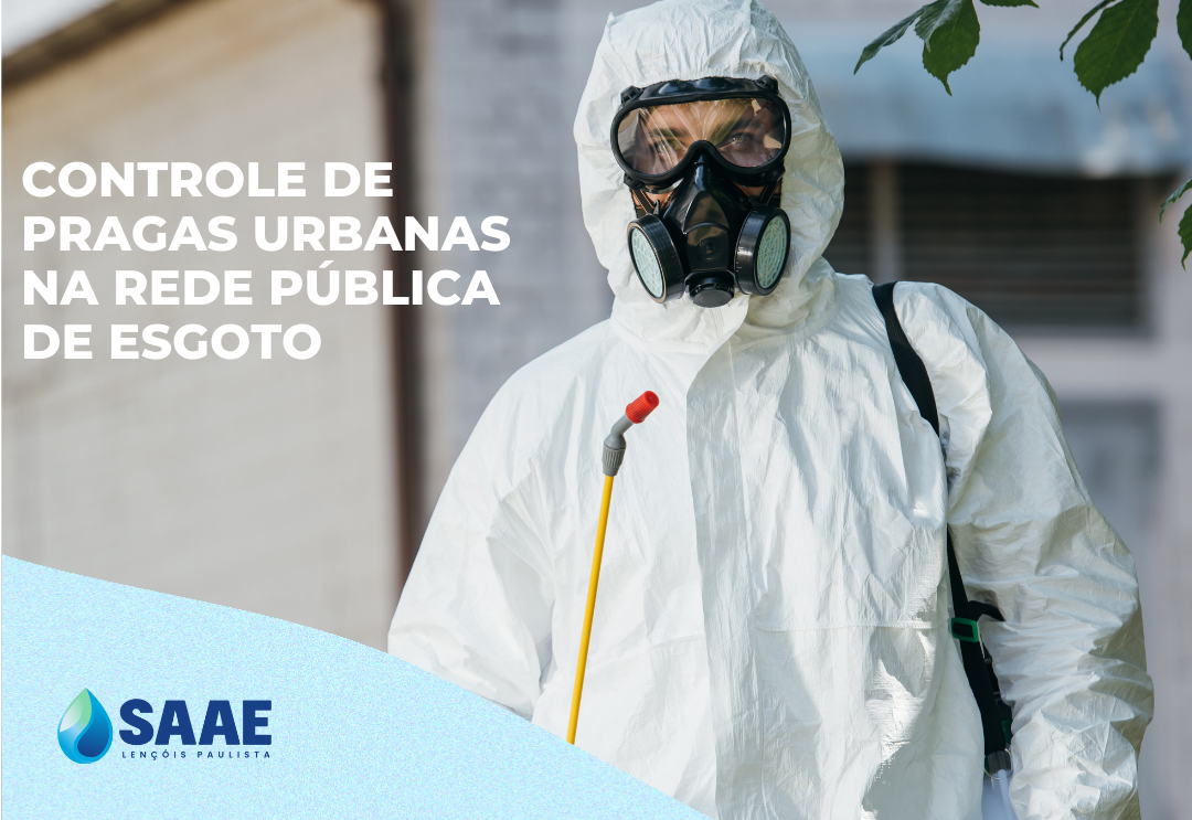 Monitoramento e Controle de Pragas na rede pública de coleta de esgotos 05/05/2025